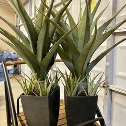 Faux Aloe Vera Type Plants Set 2