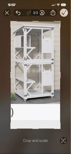 New catio with cat tunnel