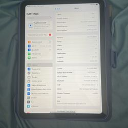 Apple iPad 