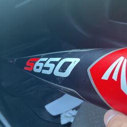Easton S650 31 Inch Bat