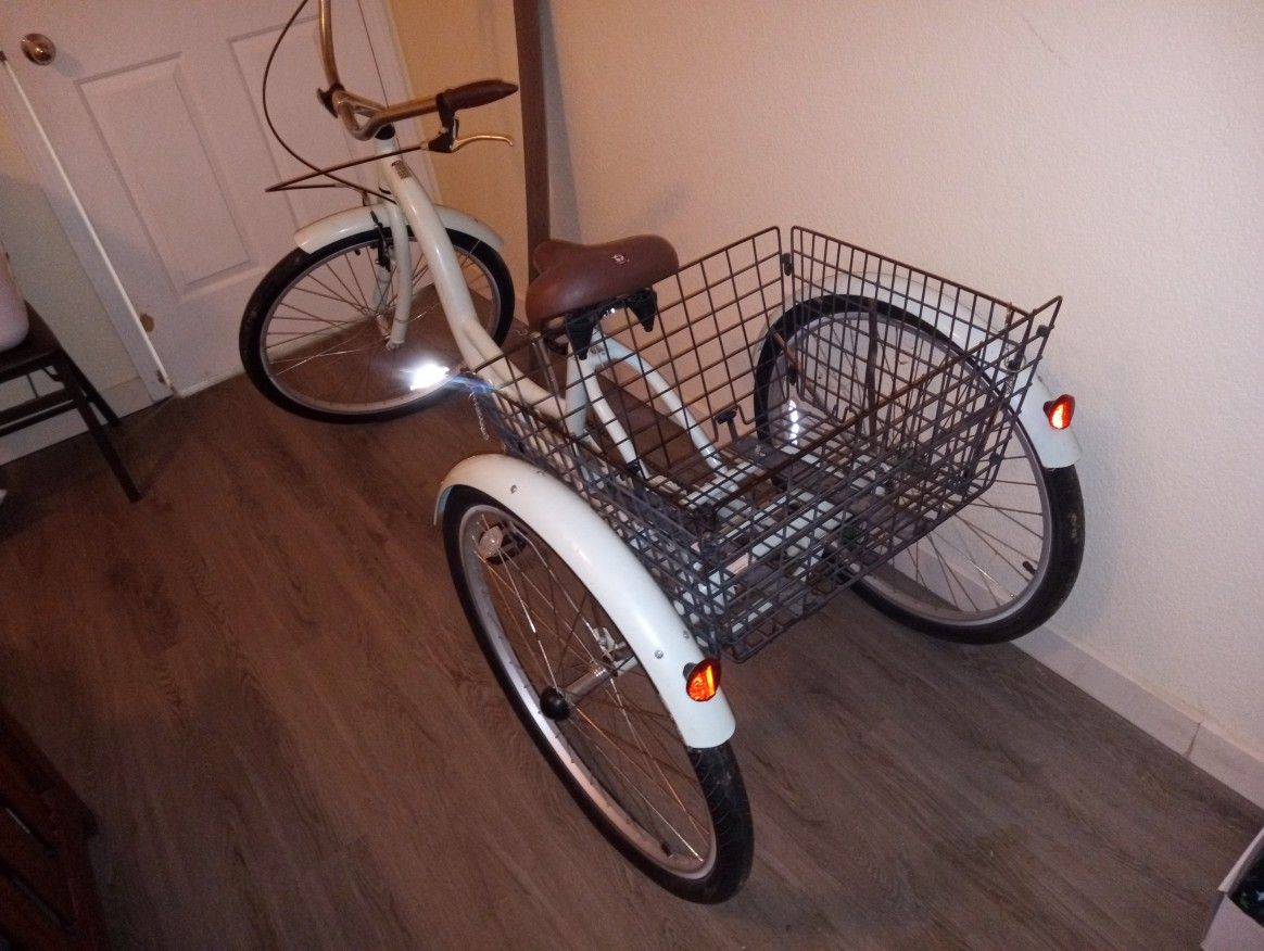 Adult Trike