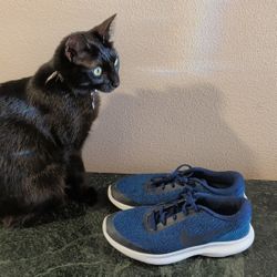 Nike Tennis Shoes. Sixe 9.5. Cinder Not Included.