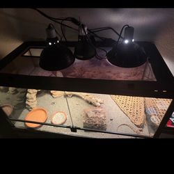 Reptile Tank 