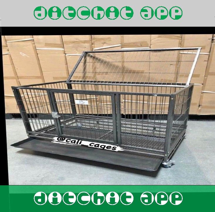 painting risk Provide a Loving Home with Dog Pet Cages and Kennels