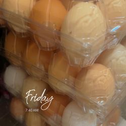 Cage Free Eggs 