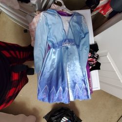 Frozen Anna & Elsa Dresses 3t 4t