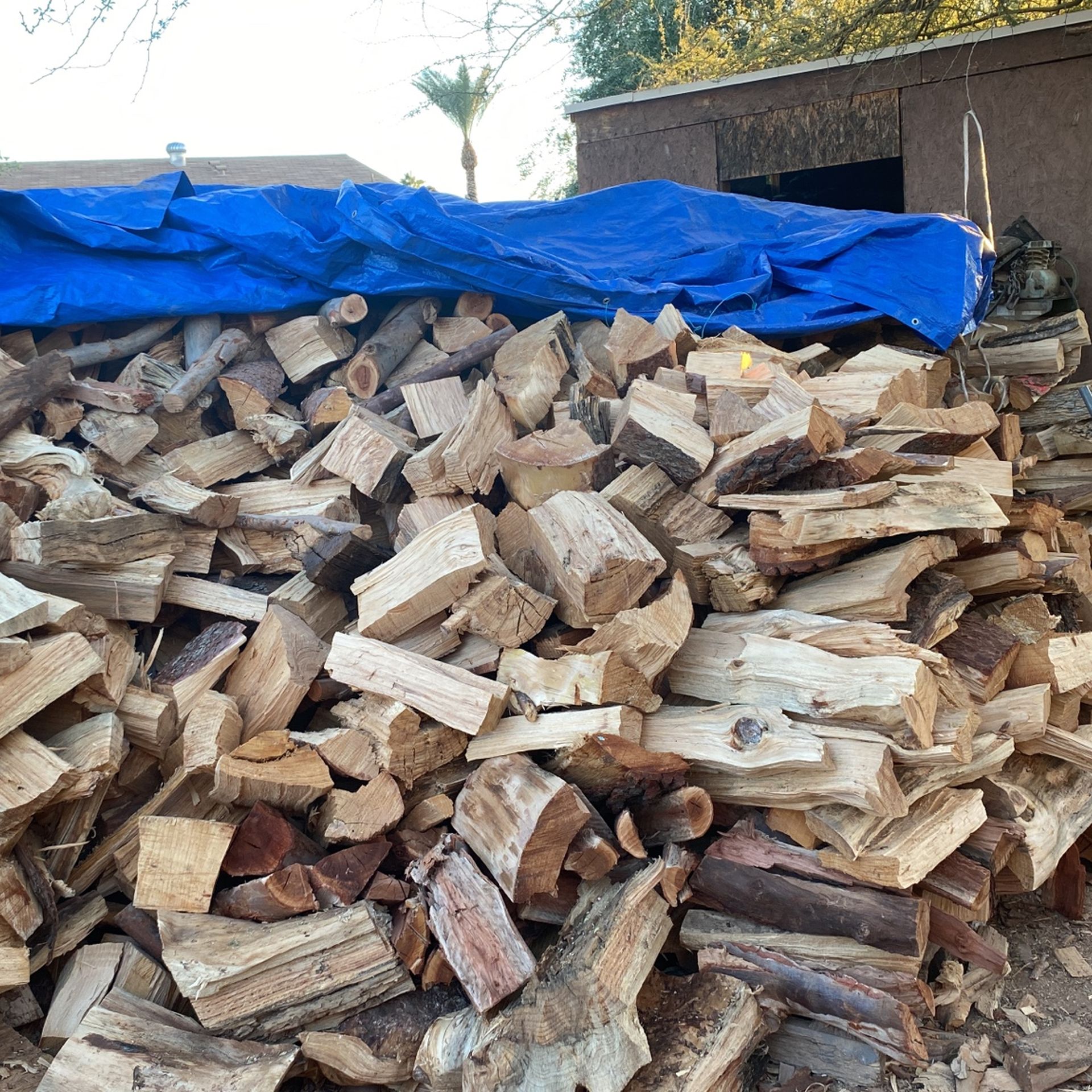 Firewood 🪵