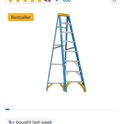 Werner 8ft Ladder