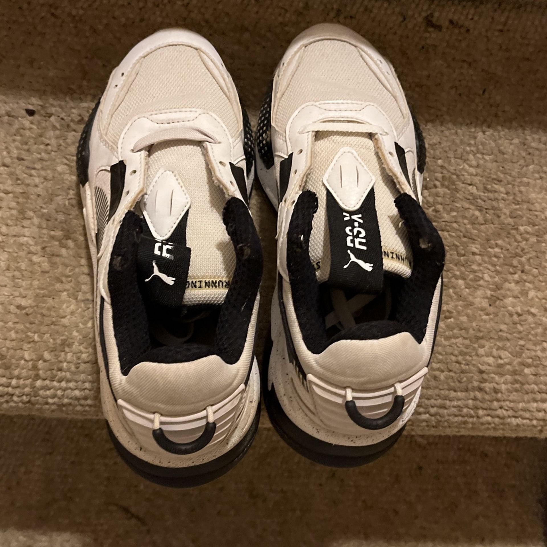 White And Blacks Pumas