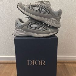 Dior B30 Gray