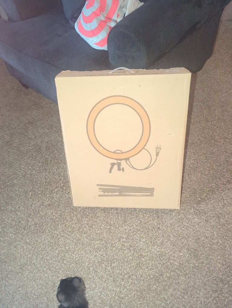 Light Stand