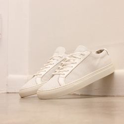 Common project Achilles Perforated