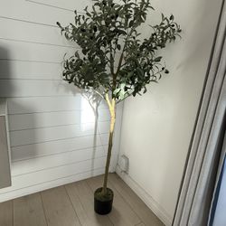 Faux Olive Tree 5 Ft