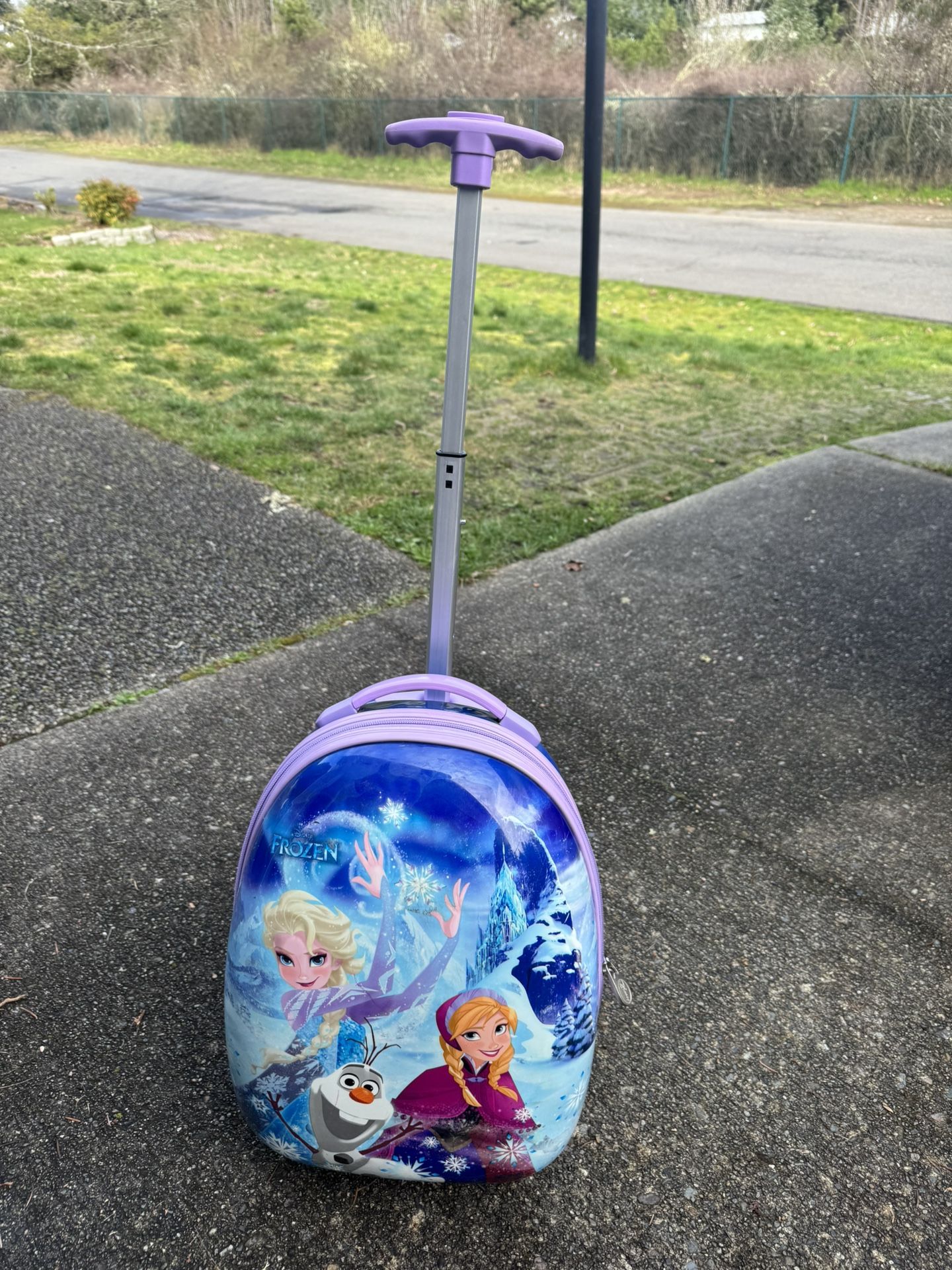 Kids Luggage 16.5” Tall, 12” Wide