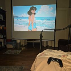 SONY BRAVIA SXRD 1080p Projector w/ Huge Screen - Great Condition w/ Newer Lamp