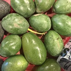 Organic Avocados