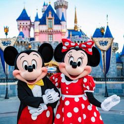 Disneyland Tickets 