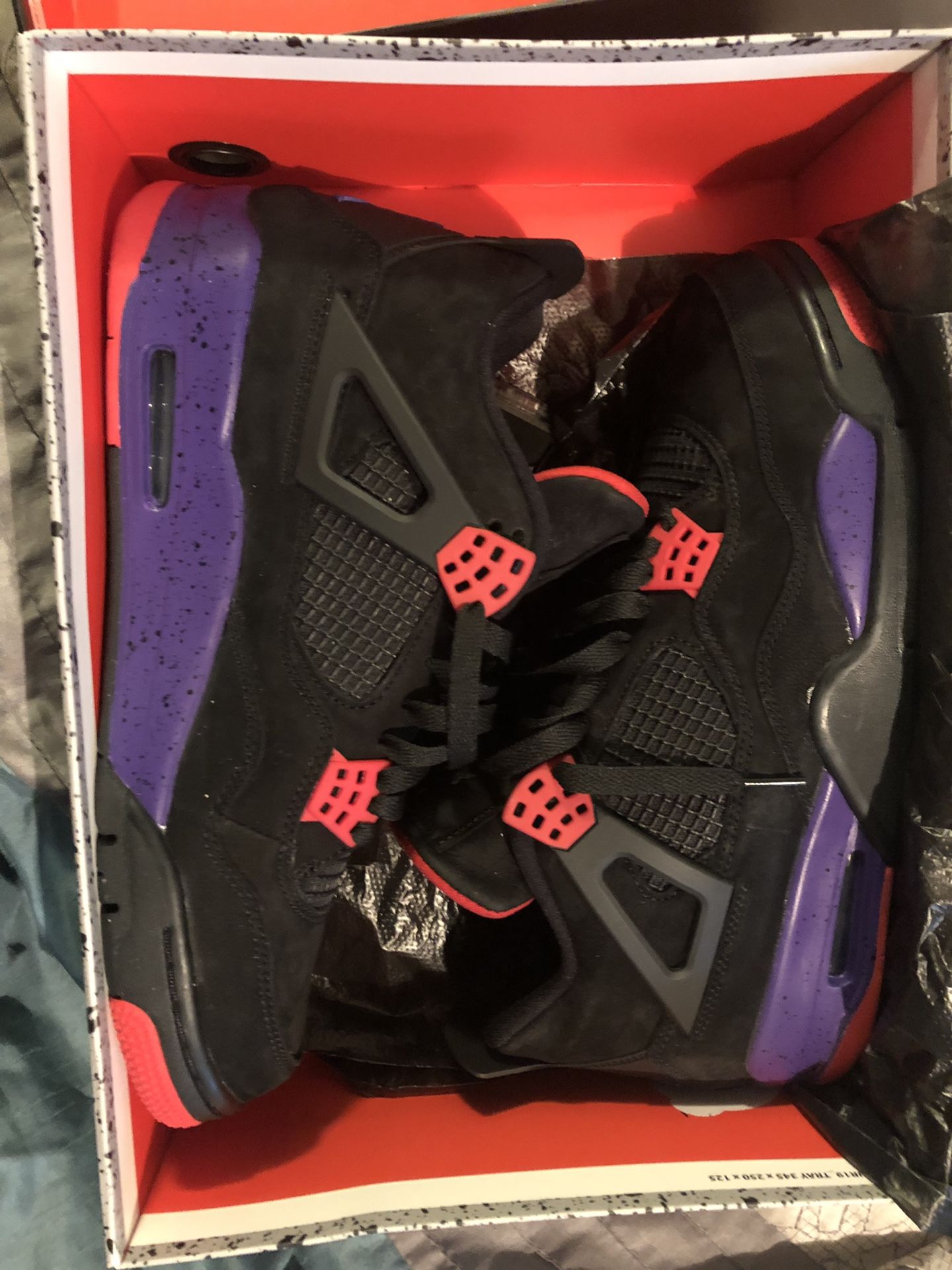 Raptor 4s Jordan