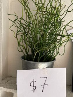 Fake Plant with Pot