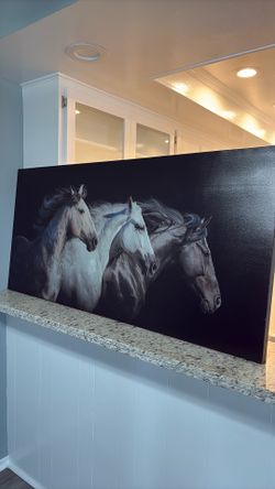 Large Elegant Three Horse Canvas Wall Art