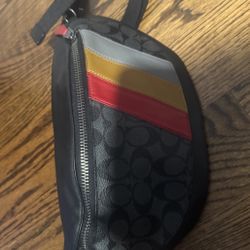 New Coach Purse Fanny Pack Or Crossbody