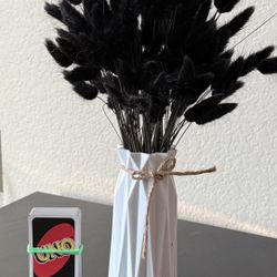 Black Pampas Grass Bunny Tails