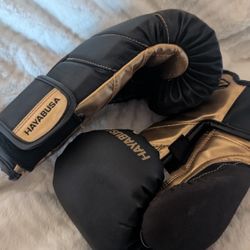 HAYABUSA T3 LX BOXING GLOVES 14oz