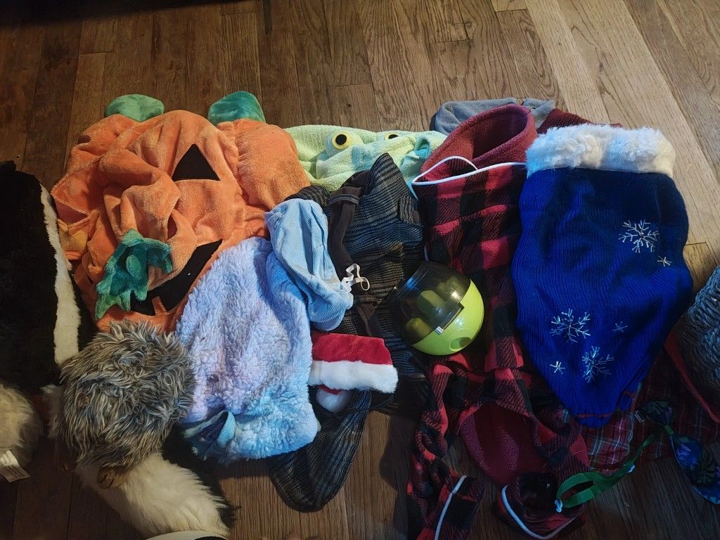 Dog Clothes And Halloween Costume 