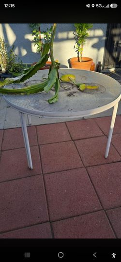 Free curb alert