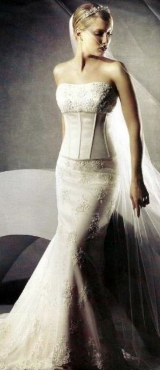 Oleg Cassini Two-Piece Champagne Wedding Dress 16W (CK118)-OBO