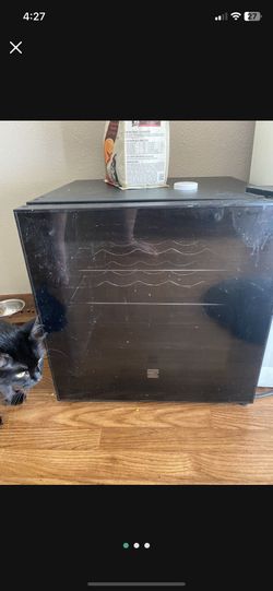Wine/drink Fridge