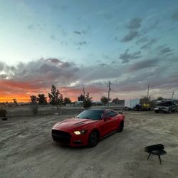 2015 Mustang Gt 50th Anniversary Limited Edition 