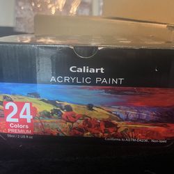 24 Premium Acrylic Paint And Brush Set