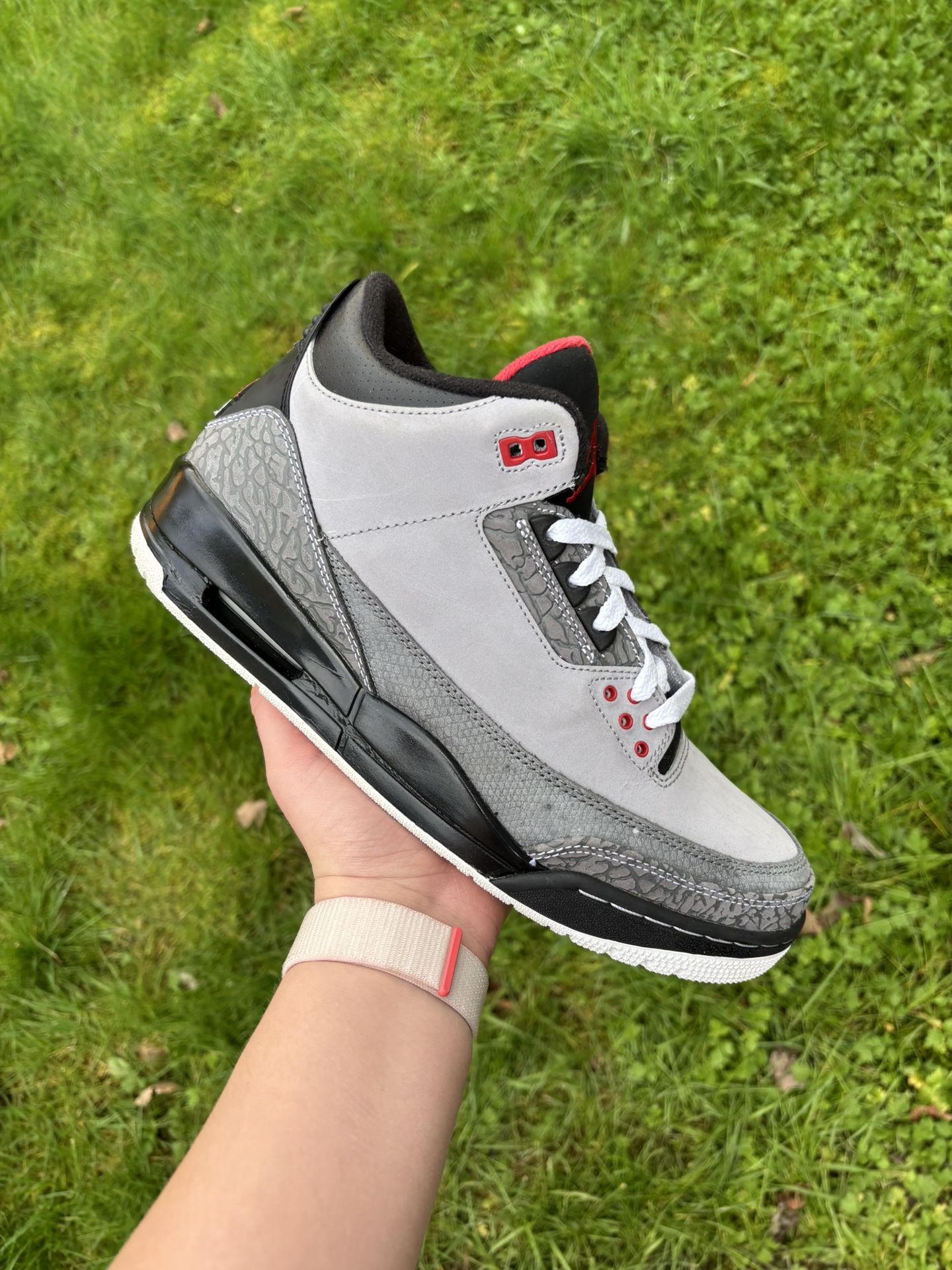 Jordan 3 Stealth