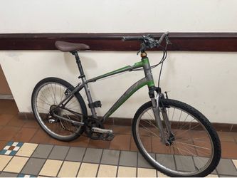 Giant 8 speed mountain bike