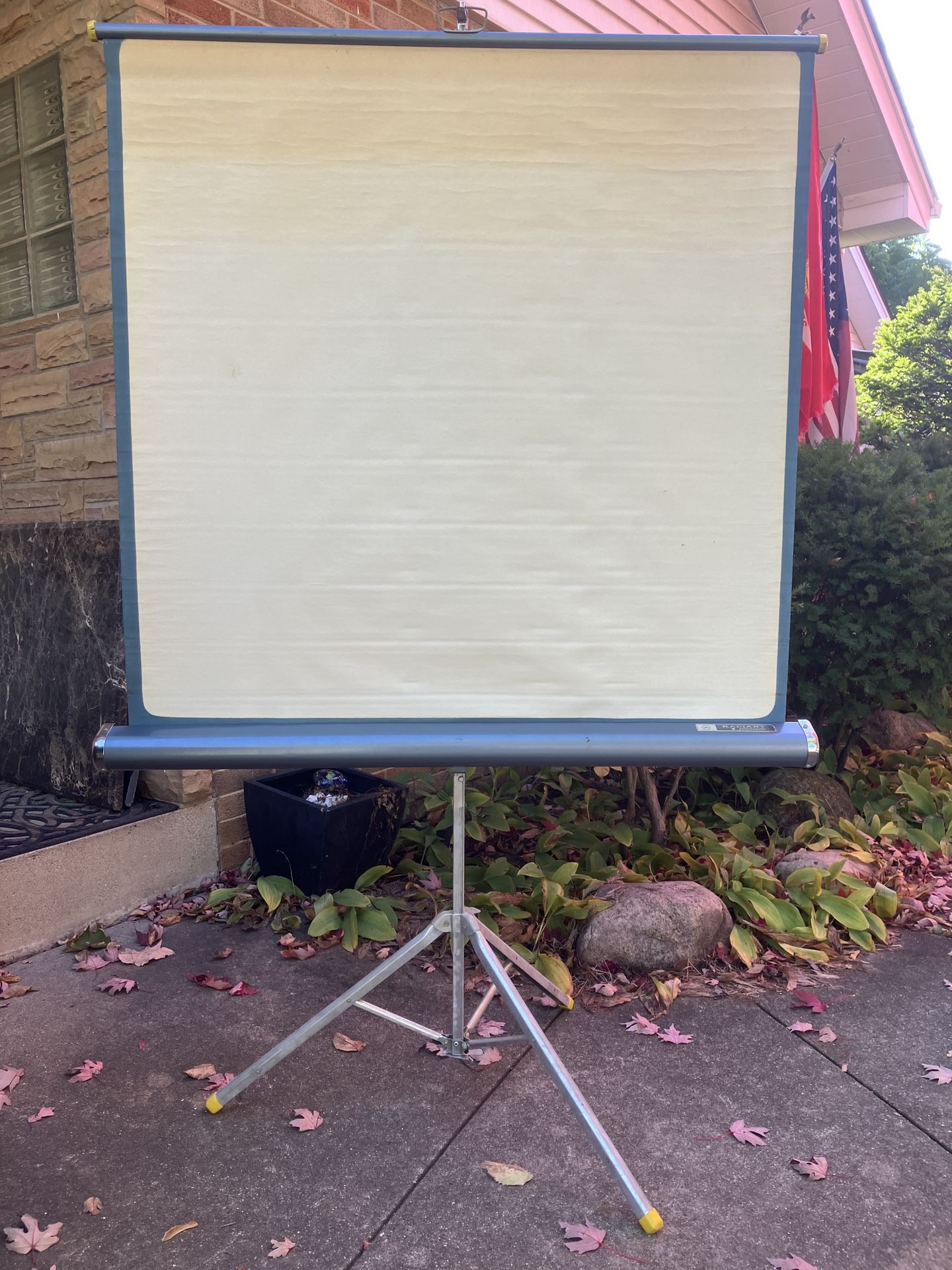 Vintage 40” Movie Projection Screen