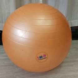 Exercise Ball