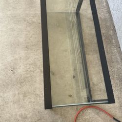 20 Gallon Tank (comes with lid)