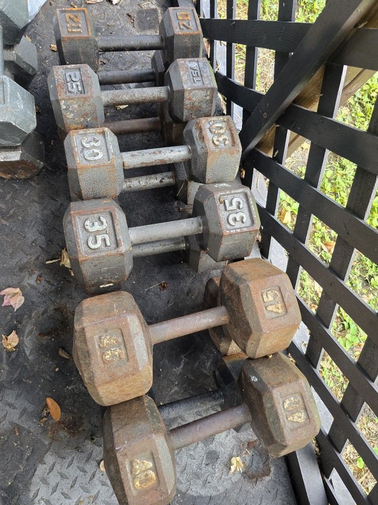 Weight Dumbbells