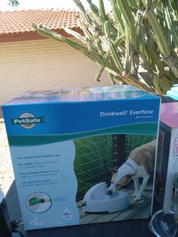 Pet Fountain