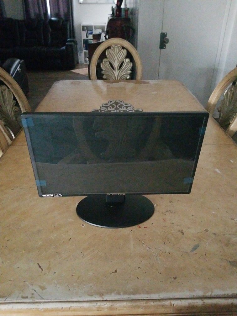Sceptre Computer Monitor