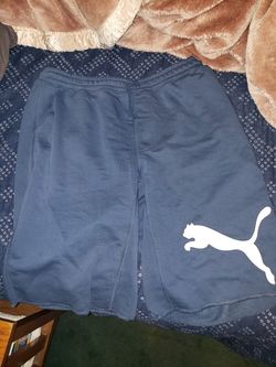 Blue puma shorts