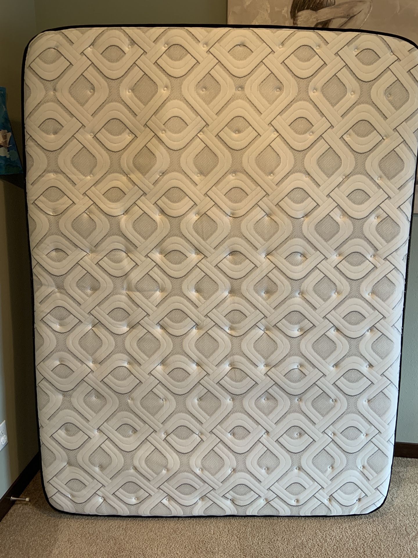 Costco Queen Mattress 