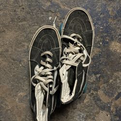 Van Skater Shoes
