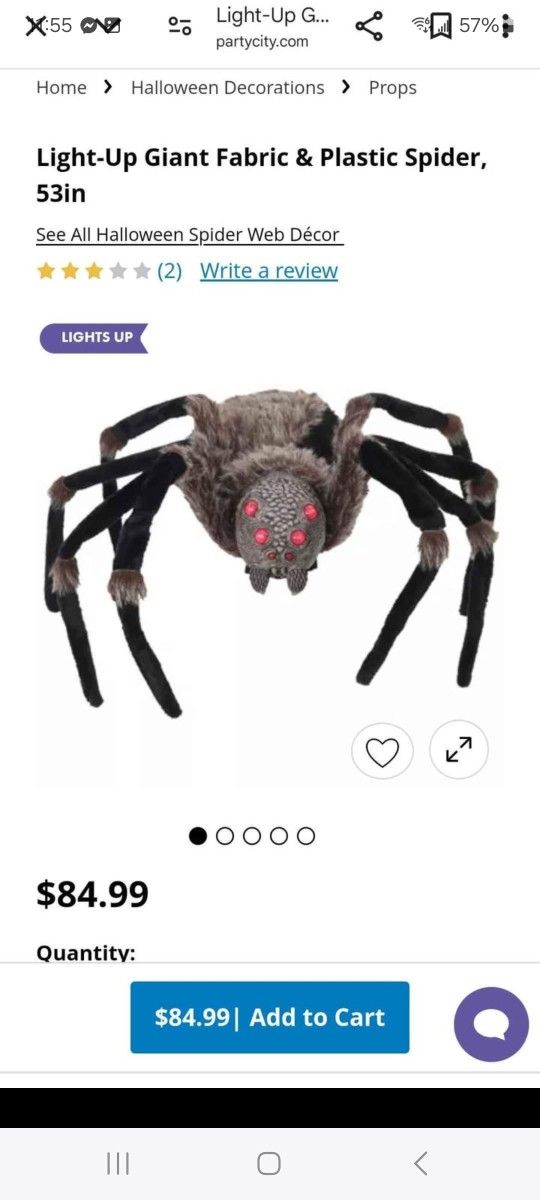 Giant Spider