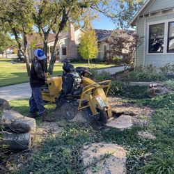 STUMP GRINDING