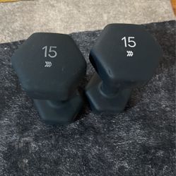 Two 15lb Weights 
