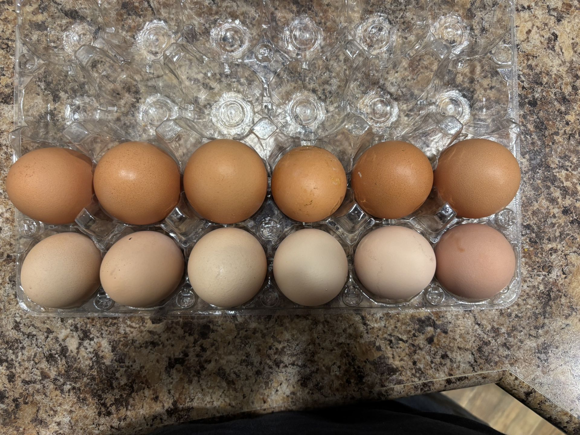 Farm Fresh