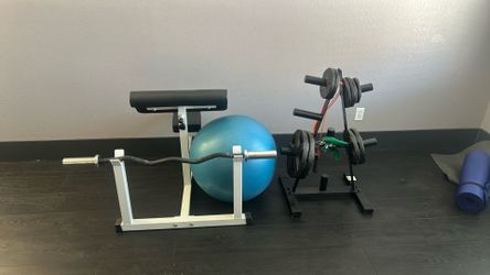 Curl bar and weights