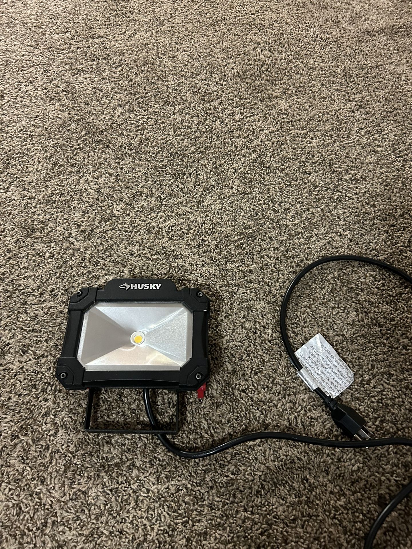 Husky Lamp